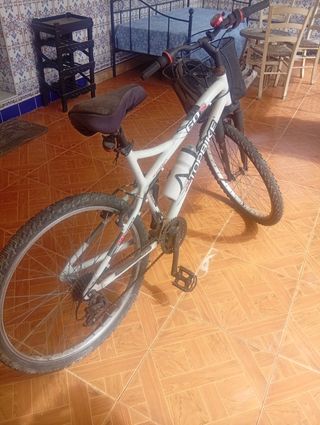 Bicicleta TOPBIKE 60S