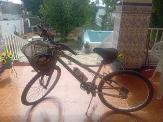 Bicicleta TOPBIKE 60S
