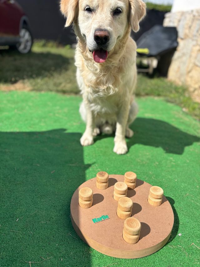 Juguete Inteligente Karlie 2 en 1 para Perros