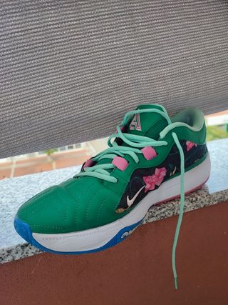 Nike Freak 5 Giannis Antetokounmpo Verde/Rosa