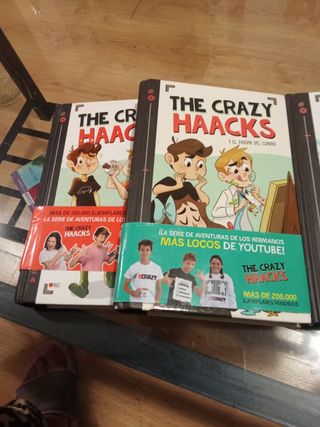 The Crazy Haacks y el enigma del cuadro (Serie ...