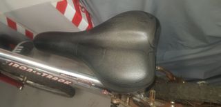 Bicicleta de Montaña
