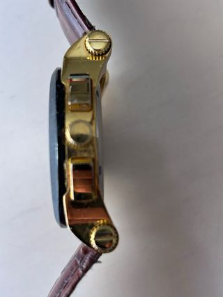 Reloj Paul Versan Dorado y Marrón