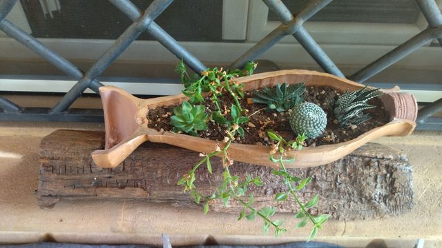 Vaso per piante in terracotta e legno