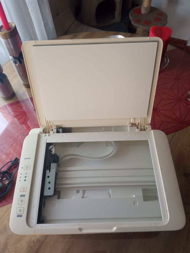 Impresora Canon PIXMA MG 2550