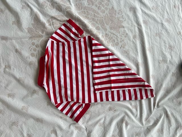 Polo Ralph Lauren a righe rosse e bianche