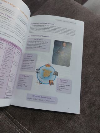 Essencial medi social 6 primaria