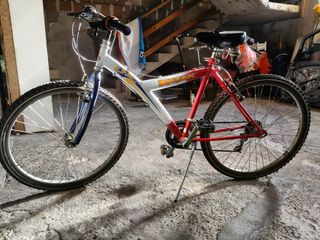 Bicicletta da ragazzo/adulto