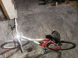 Bicicletta da ragazzo/adulto