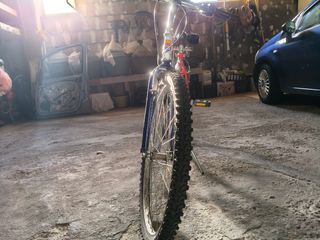 Bicicletta da ragazzo/adulto