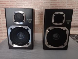 Altavoces AEV LS-402
