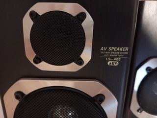 Altavoces AEV LS-402