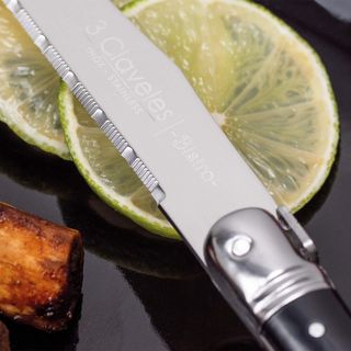 Set di 4 coltelli da stufato Bistro 3 Garofani