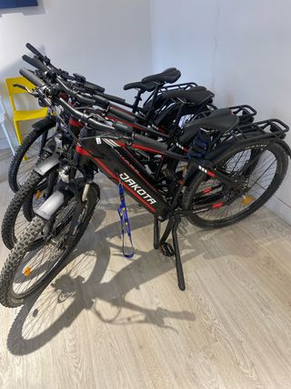 Bicicleta eléctrica montaña para repartos