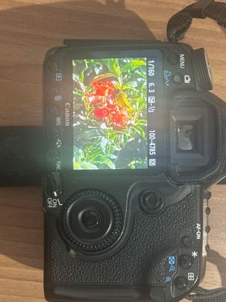 Cámara Canon EOS 50D + Accesorios