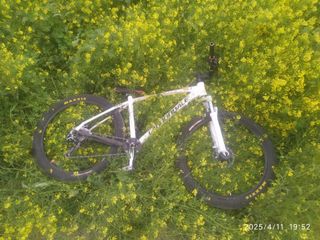 Bicicletta bianca Cannondale