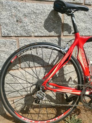 Bicicleta Mendiz Radius Carbono