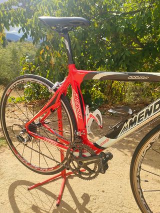 Bicicleta Mendiz Radius Carbono