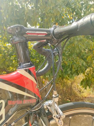 Bicicleta Mendiz Radius Carbono
