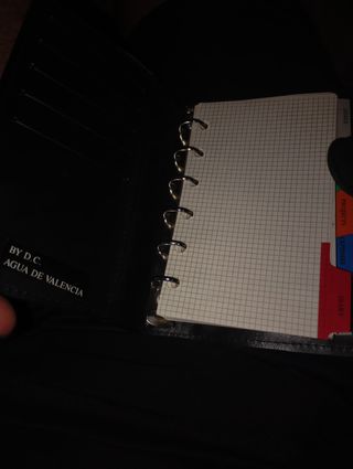 Organizador agenda Pokémon Nintendo 1995-1999