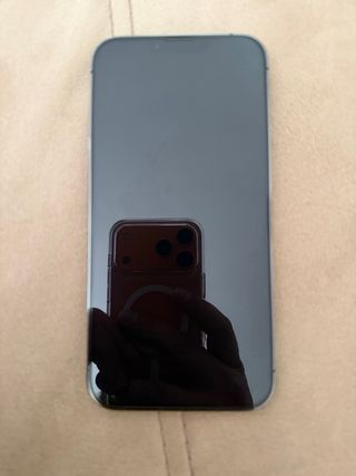 iPhone 13 Pro Max 128GB Grafito