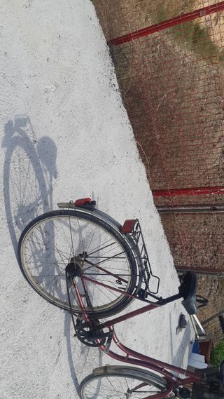 Bicicleta de paseo