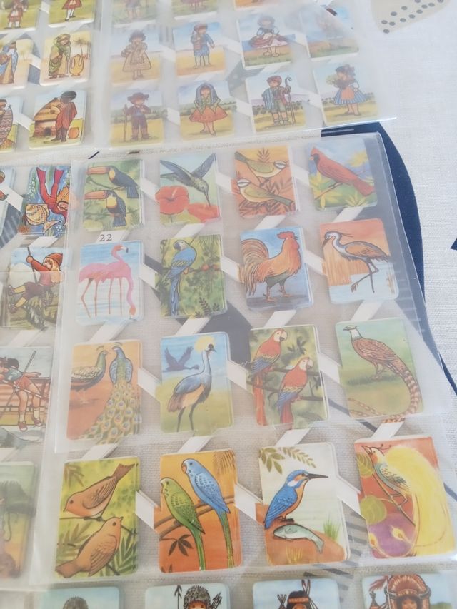 Cromos troquelados leer descrip