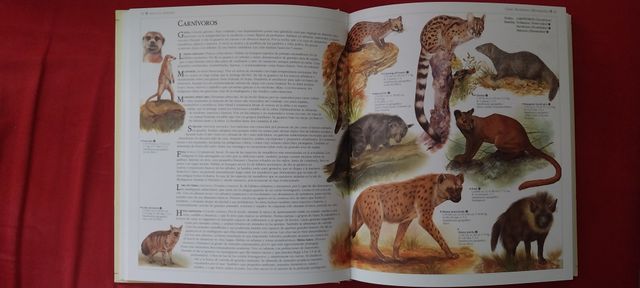 Atlas de animales