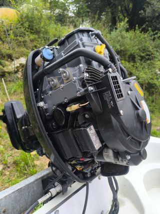 Suzuki DF 60 Fueraborda 2017