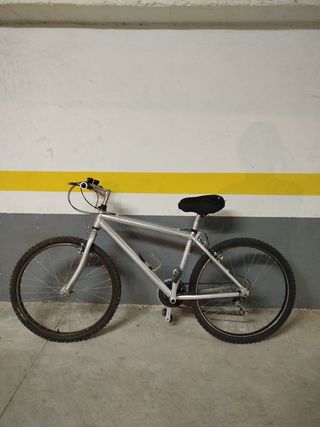Bicicleta de Montaña Plata