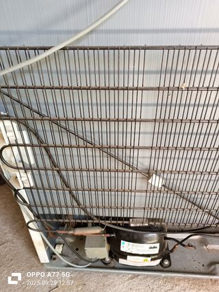 Congelador Ignis ICF220