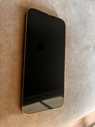 iPhone 13 Pro Max Dorado