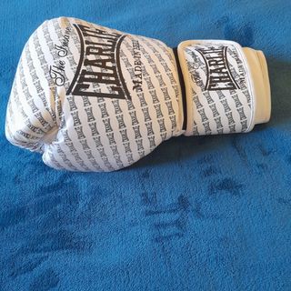 Guantes de Boxeo Charlie Made in Hell