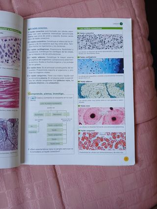 Biología y Geología 3ºESO 