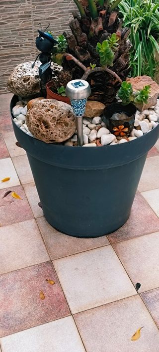 GRAN PALMERA PHOENIX XXL.