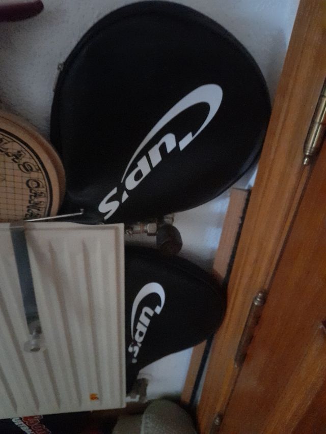 Pelotas Tenis Padel Dunlop Roland Garros