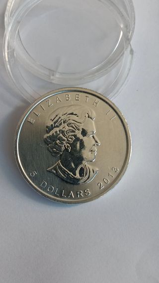 Moeda Prata 1 Onça 999% 2013 Canadá Elizabeth II