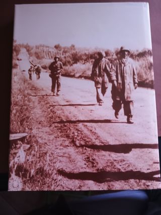 La Battaglia di Velletri