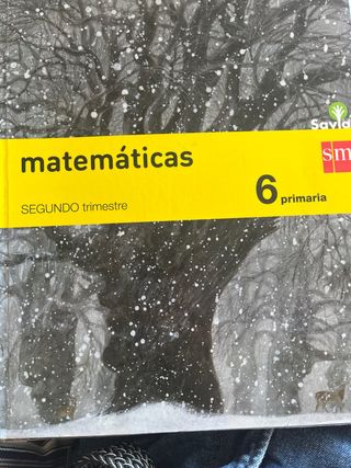 Matemáticas 6 primaria 
