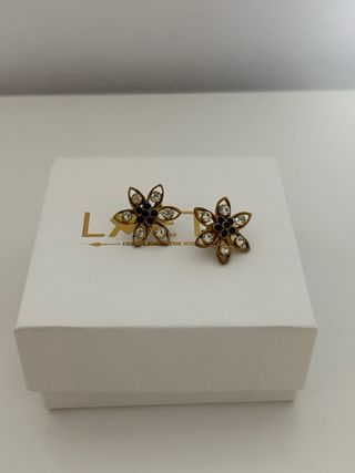 Corona y pendientes de novia