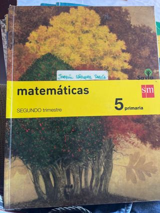 Matemáticas 6 primaria 