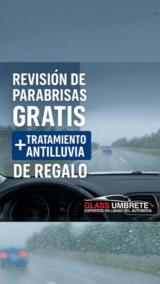 Reparación de lunas