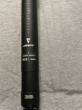 Tija Giant