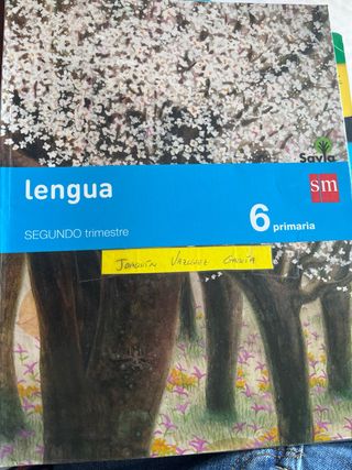 lengua 6 primaria 