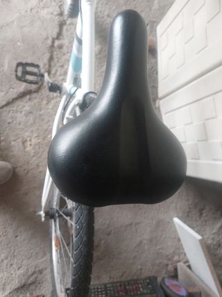 Bicicleta 24 pulgadas