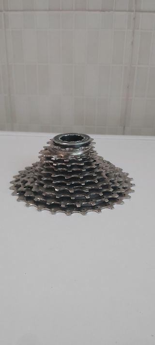 Pacco Pignoni Shimano CS-R7000 11-30
