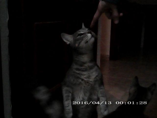 Cámara de video digital HD