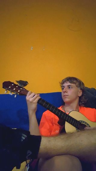 Clases iniciación de guitarra
guitarra 