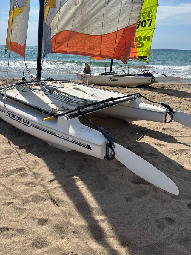 Hobie Cat 15 Vela Ligera
