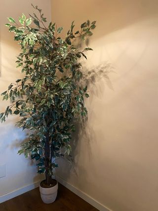 Planta Artificial Decorativa